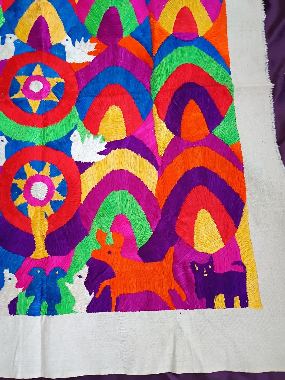 Guatemalan Paya